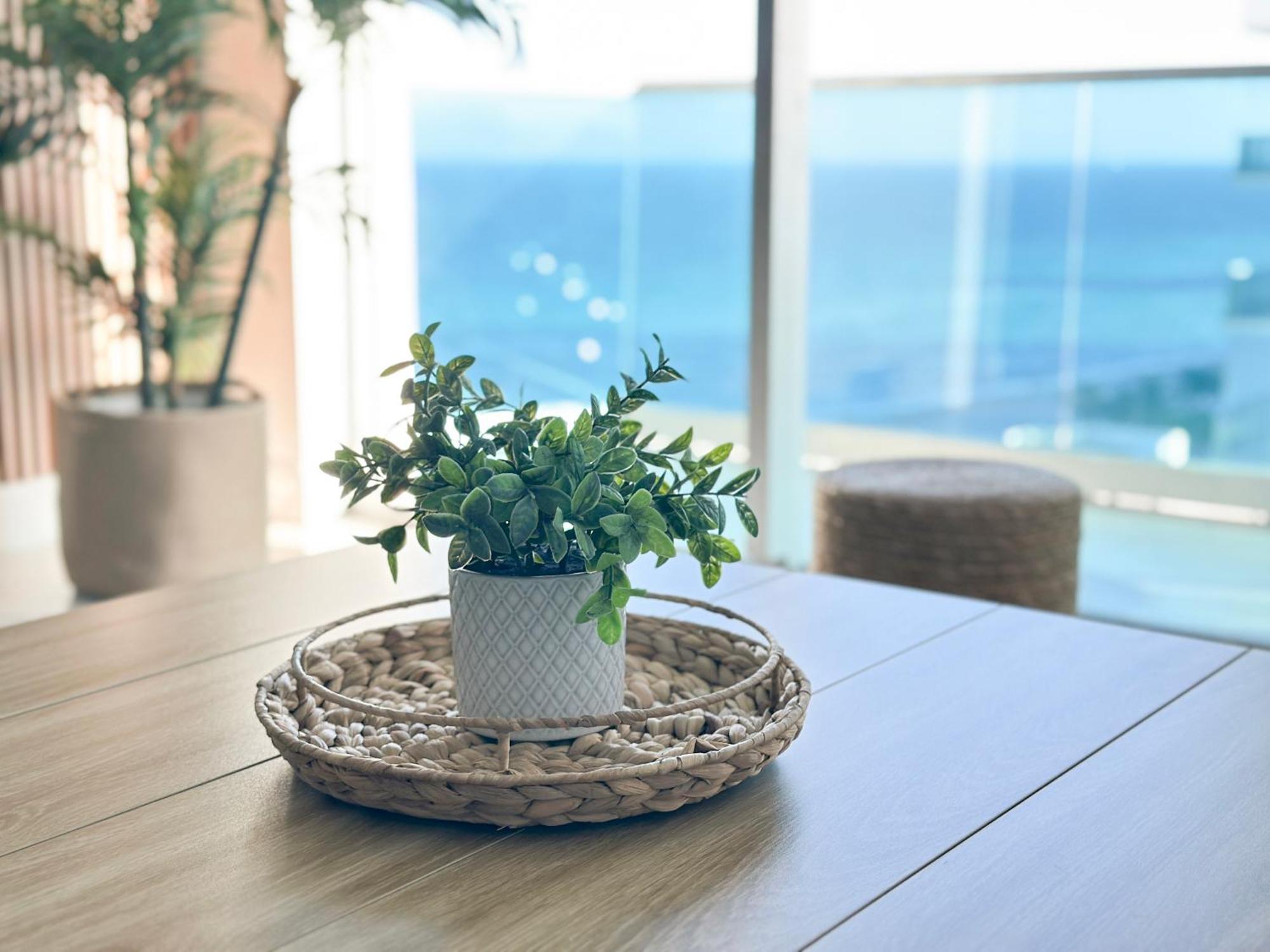 Departamento Frente Al Mar Con Salida Directa A Playa. Διαμέρισμα Χόλιγουντ Εξωτερικό φωτογραφία